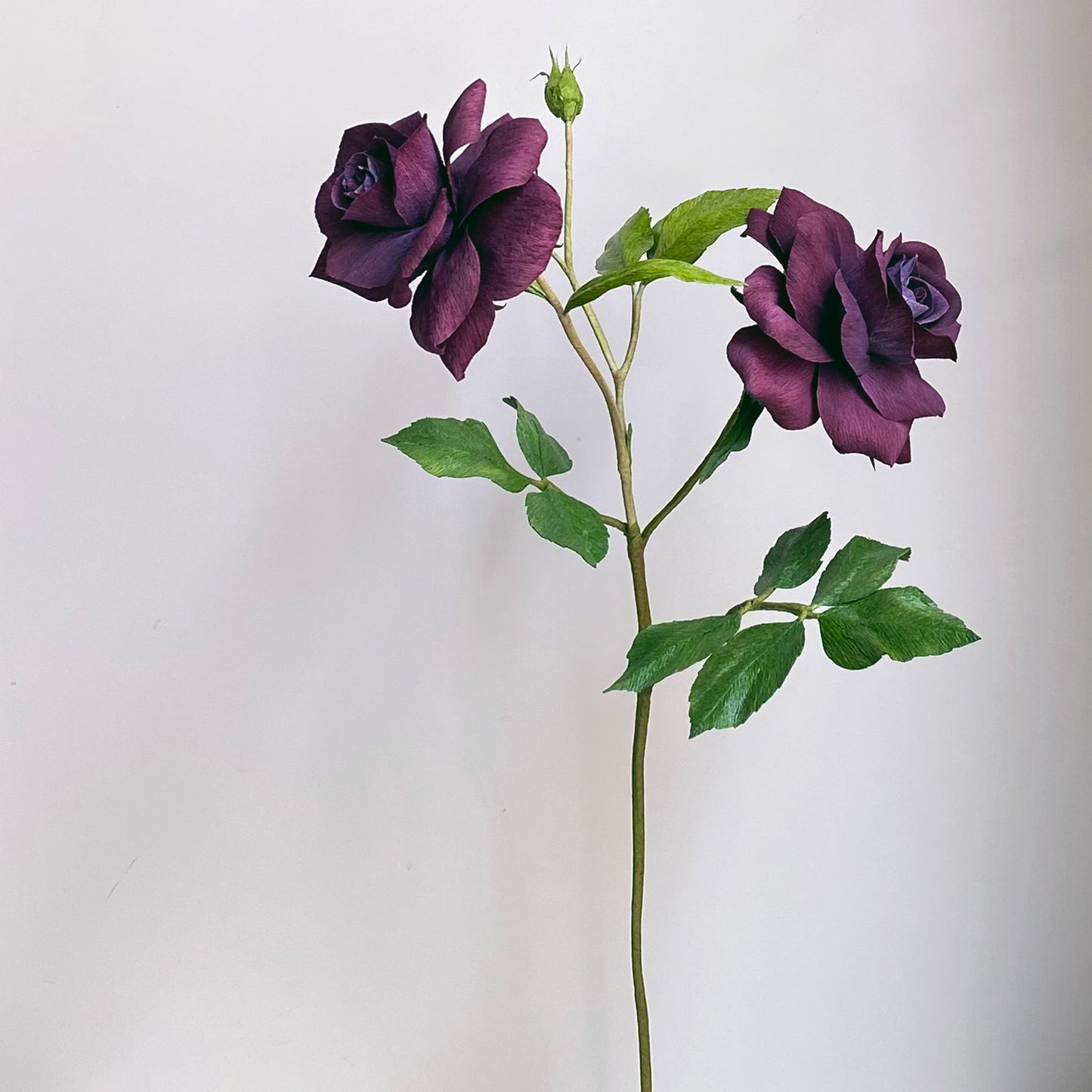 Burgundy Iceberg Roses