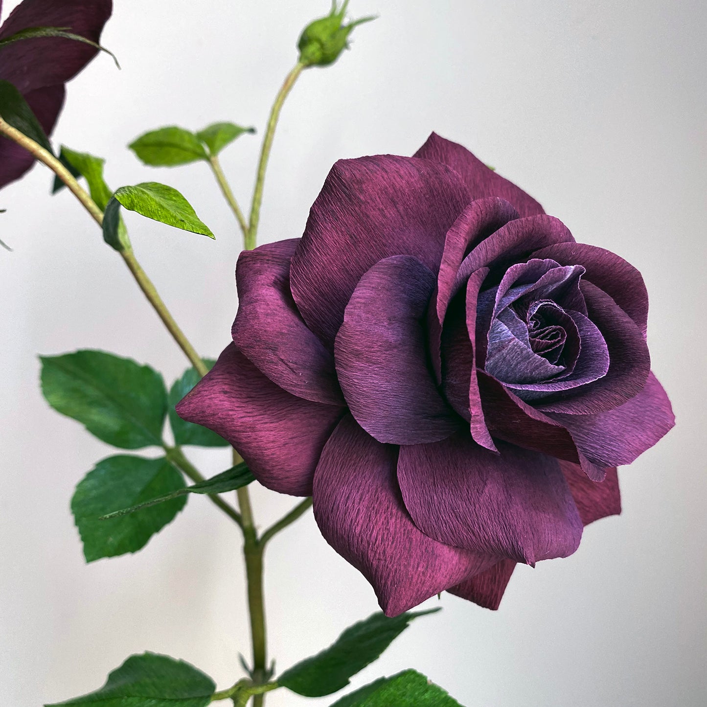 Burgundy Iceberg Roses