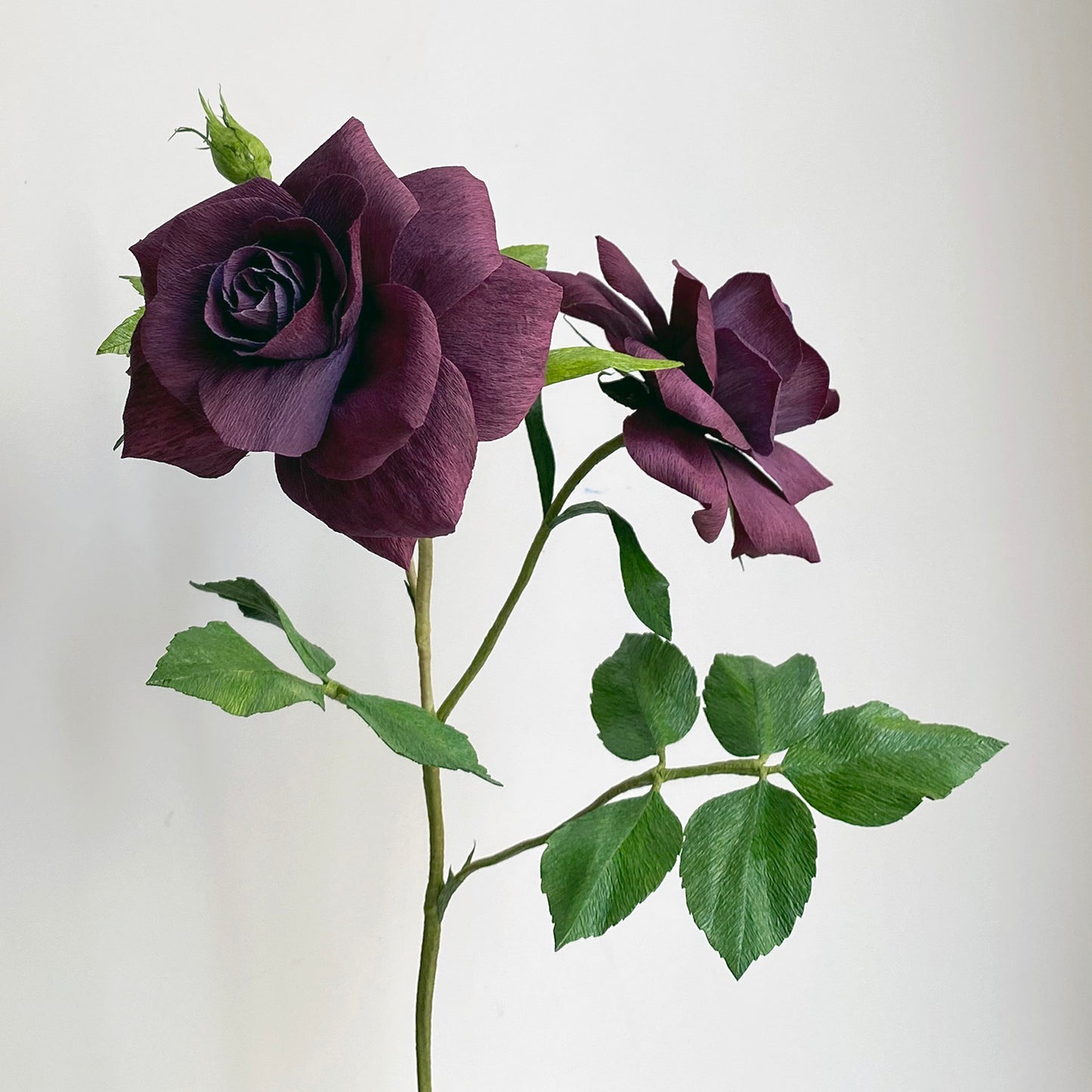 Burgundy Iceberg Roses