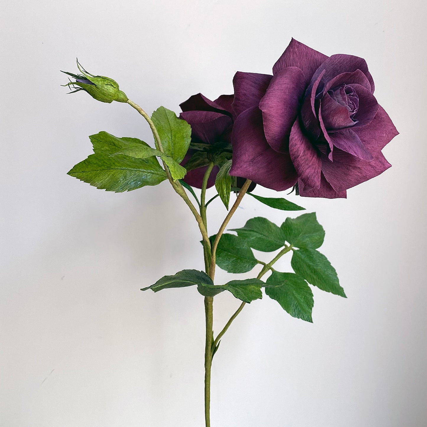 Burgundy Iceberg Roses