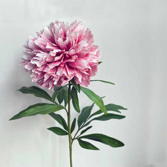 Gweneth Peony