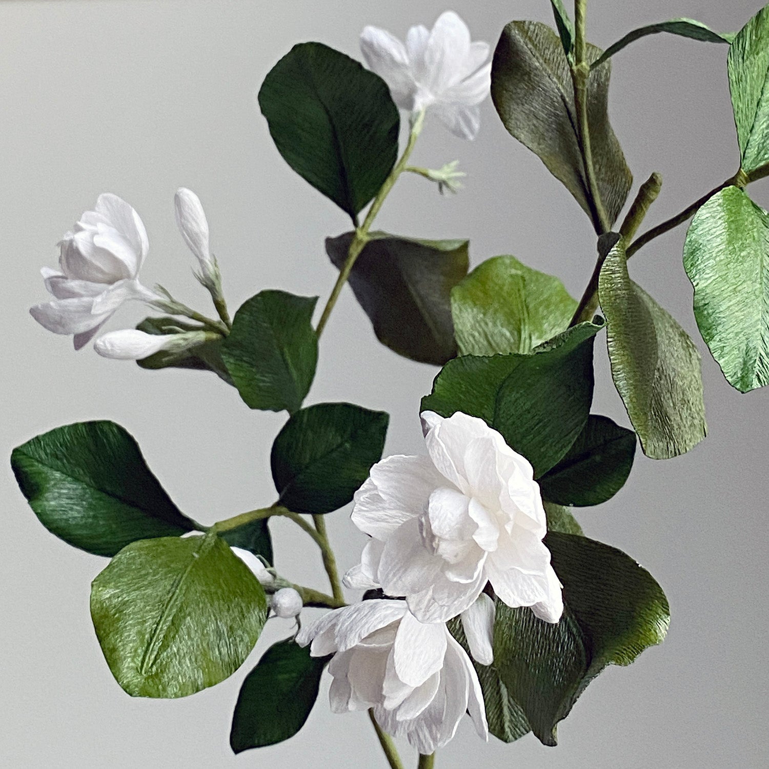 Jasmine Sambac Branch Course — BOUQ Paper Flowers