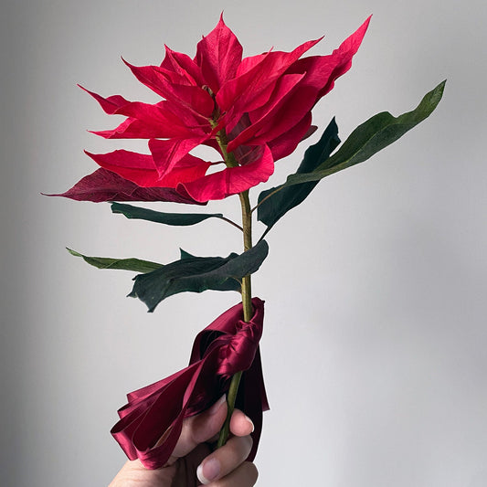 The Paper Poinsettia Zoom Demo - Watch The Pre-Recorded Class