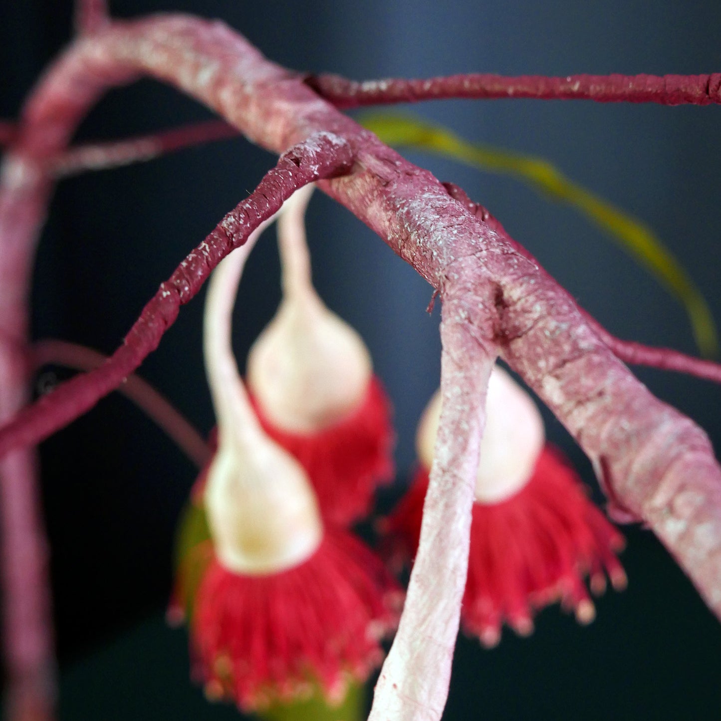 Eucalyptus Gum Nut Flower Branch from Crepe Paper