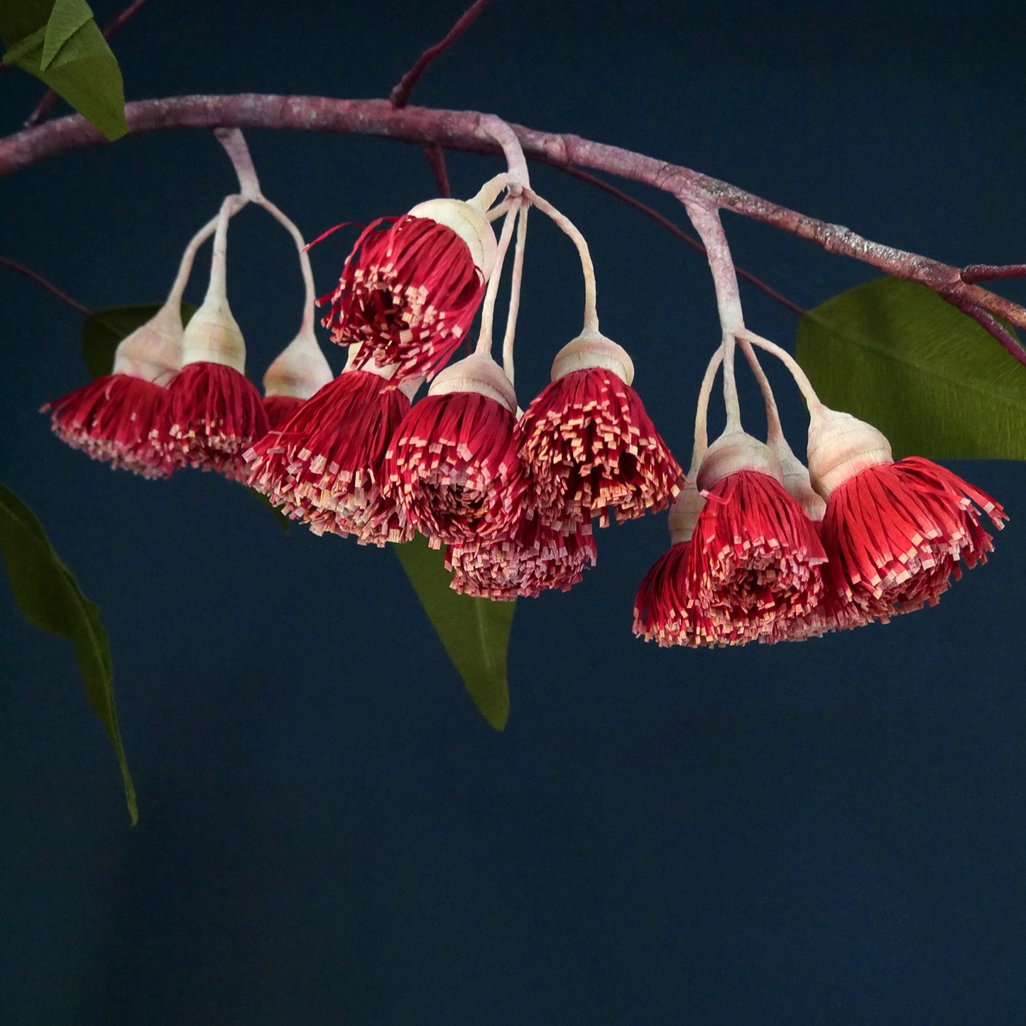 Eucalyptus Gum Nut Flower Branch from Crepe Paper