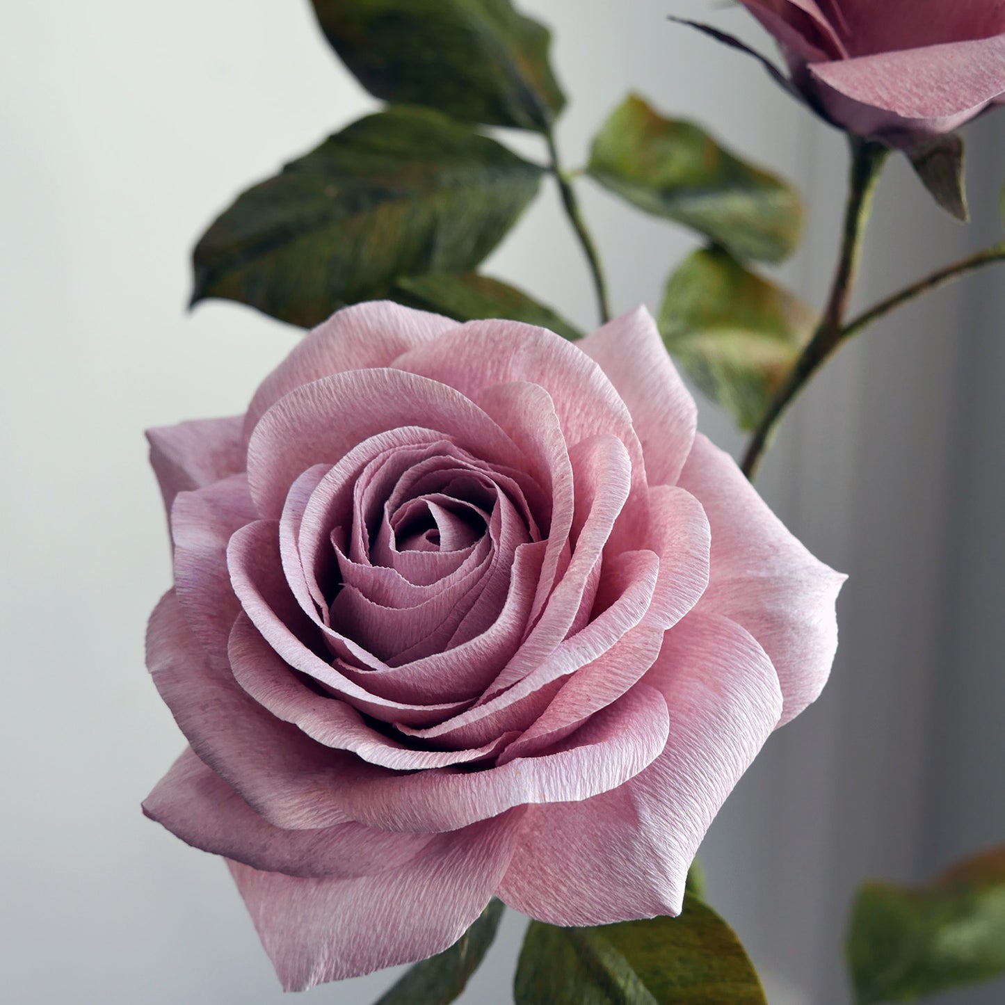 Master The Garden Rose Course