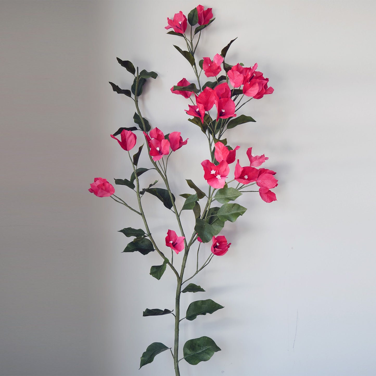 Crimson Bougainvillea Branch