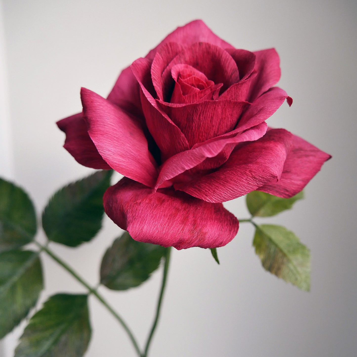 Master The Garden Rose + Rose Foliage Bundle