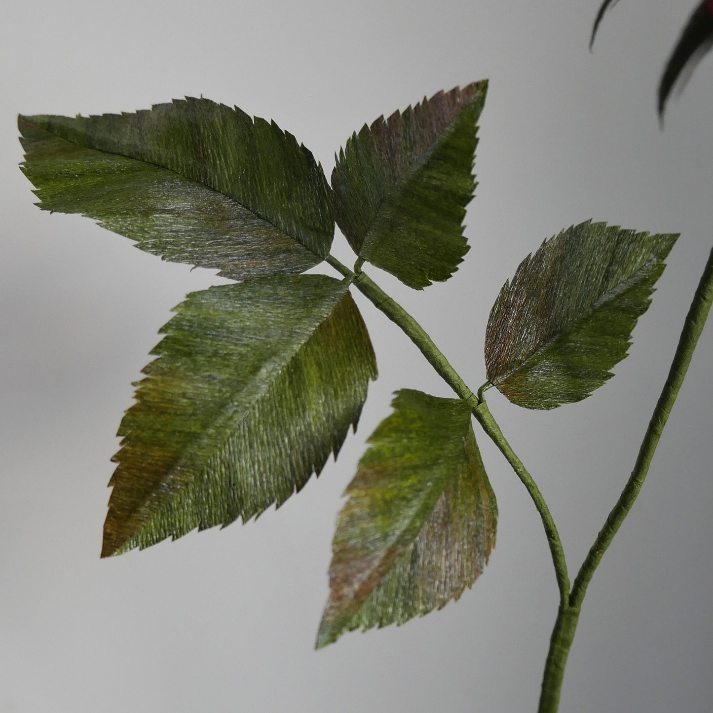 Crepe Paper Rose Foliage Course