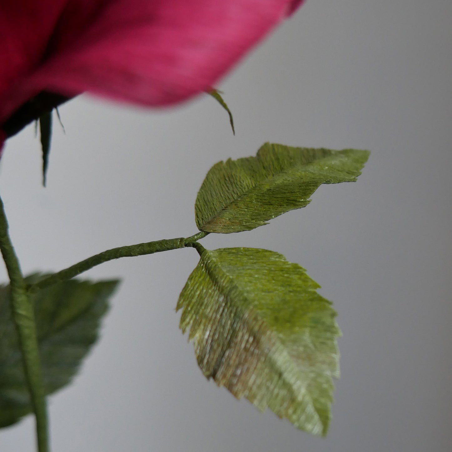 Crepe Paper Rose Foliage Course