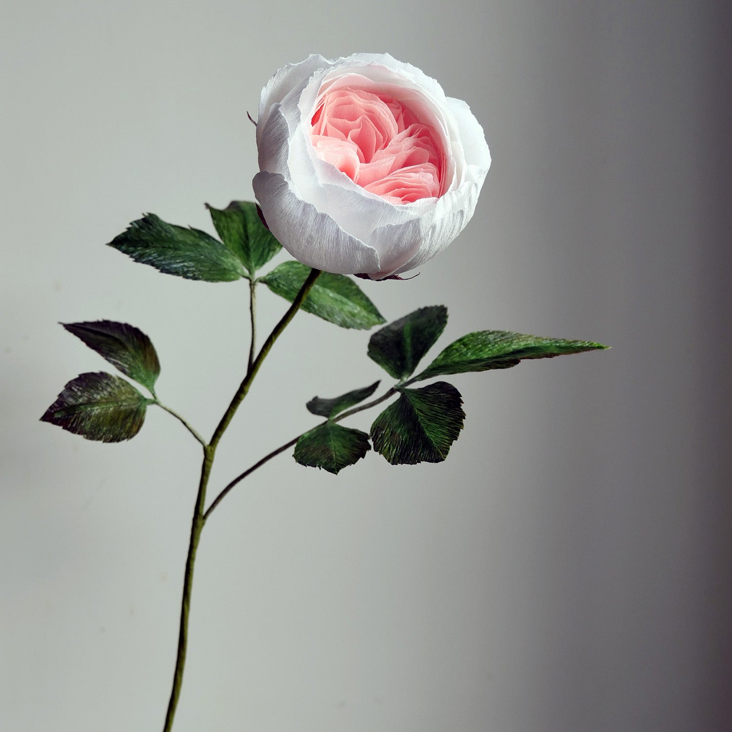 Earth Angel Rose – BOUQ Paper Flowers