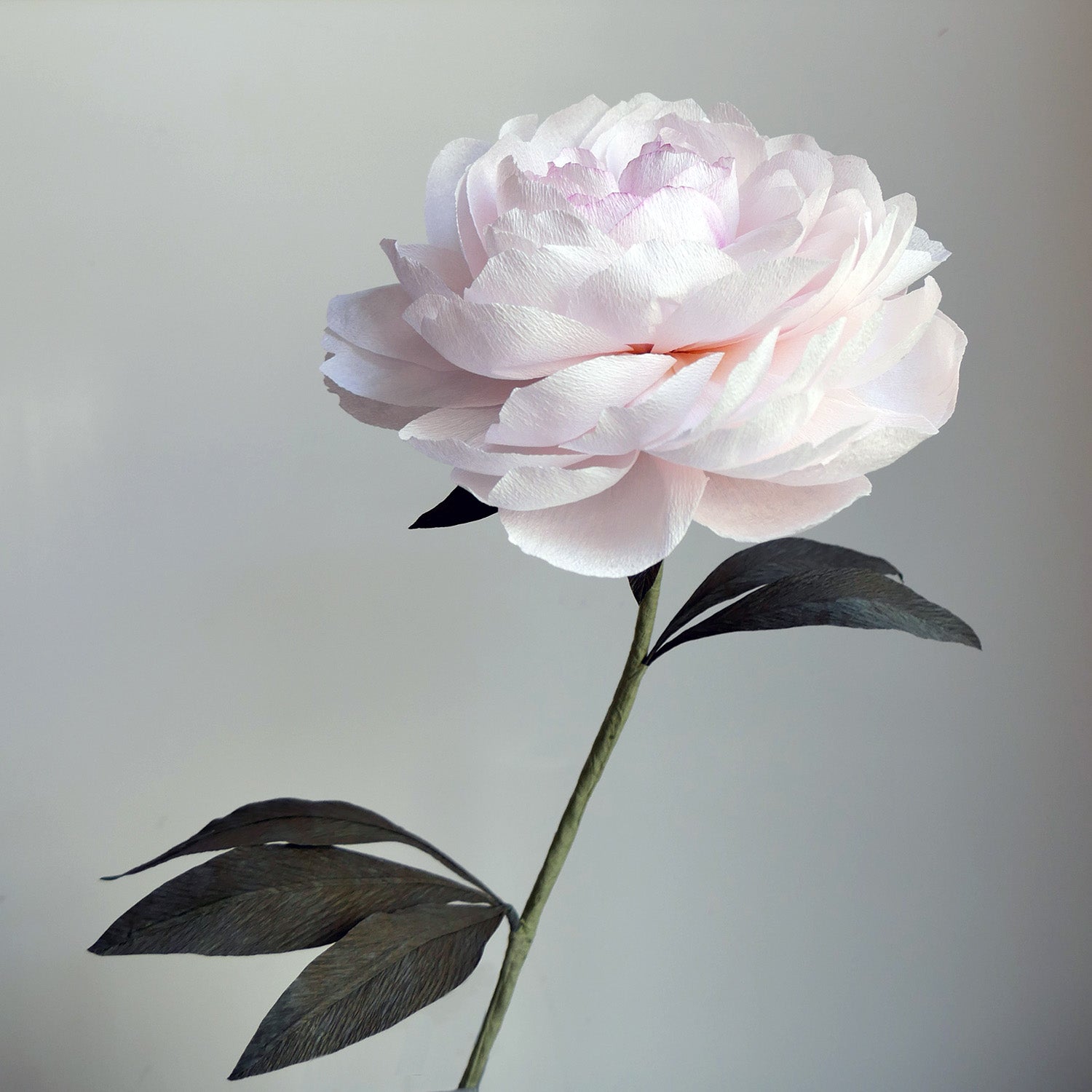 Coral Queen Peony Course — BOUQ Paper Flowers