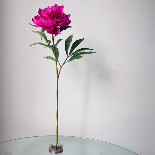 Fuchsia Tree Peony - July 11, 2020 @ 12pm EST