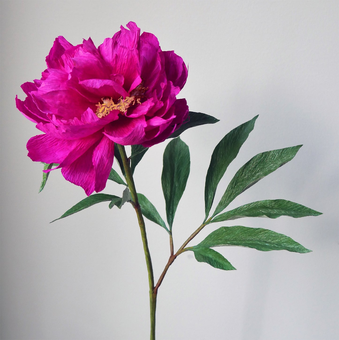 Fuchsia Tree Peony + Lush Peony Lauf Knippi